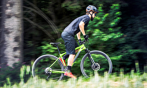 Fietser rijdt staand op een groene mountainbike hardtail door een groene natuurlijke omgeving.